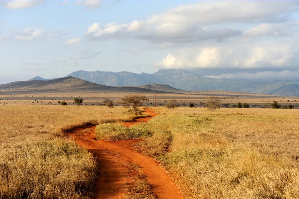 Safari Serengeti