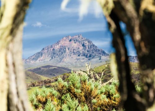 Vue sur le Kilimandjaro