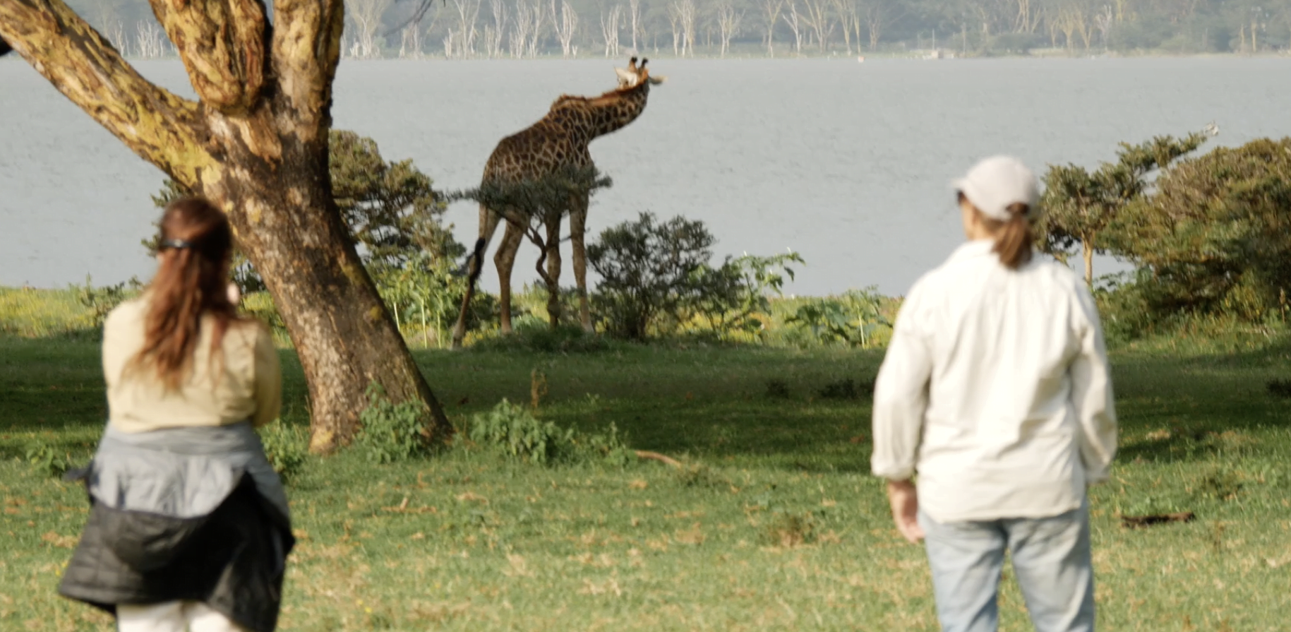 Safari Naivasha - Kenya