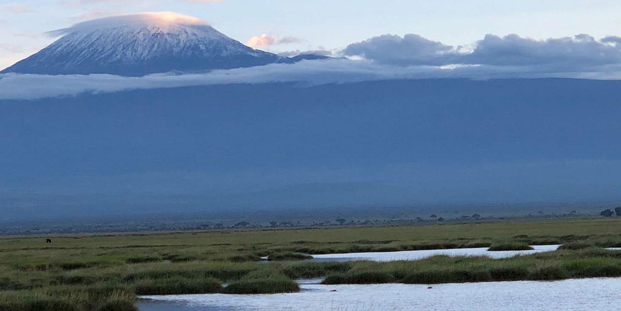 Safari Kilimandjaro