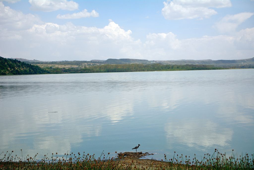 bord du lac de Eleimenteita