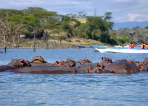 Naivasha
