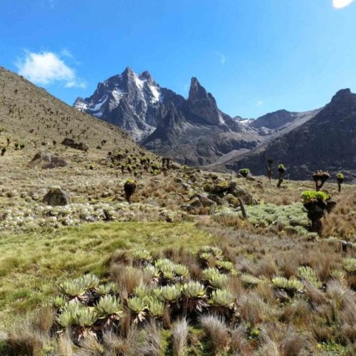 Mont Kenya Trek