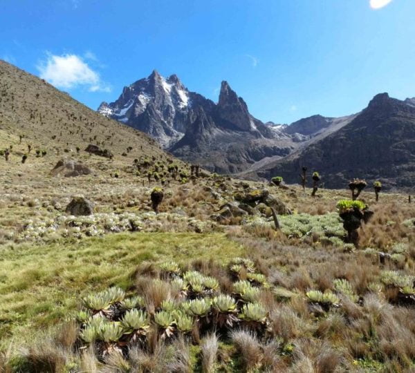 Mont Kenya Trek