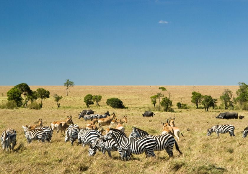 Réserve nationale du Masaï Mara