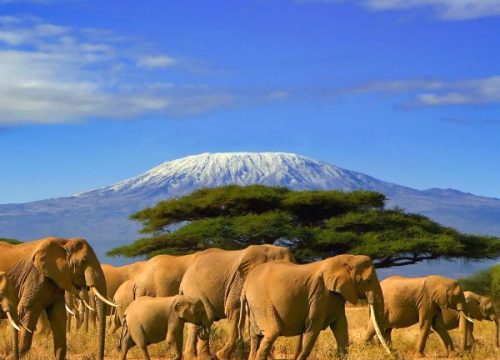 Où voir le Kilimandjaro au Kenya ?