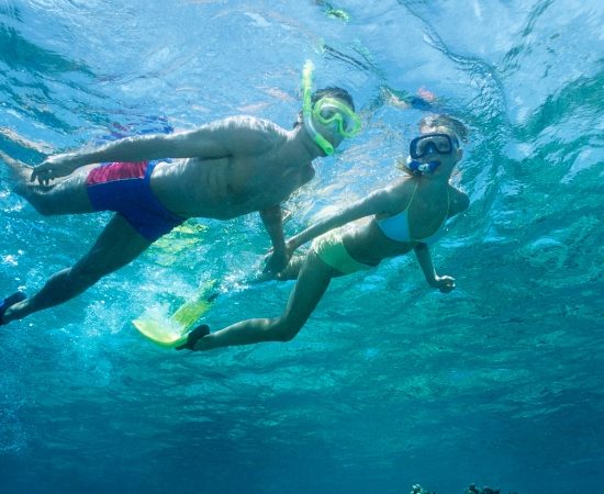 Snorkeling Ocean indien