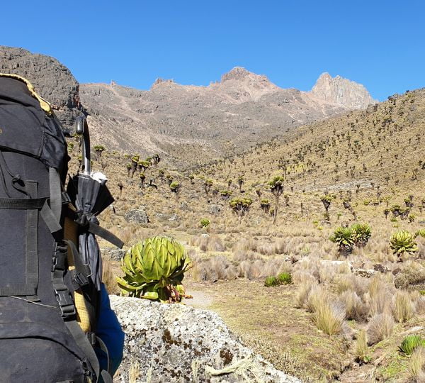 Trek Mont Kenya