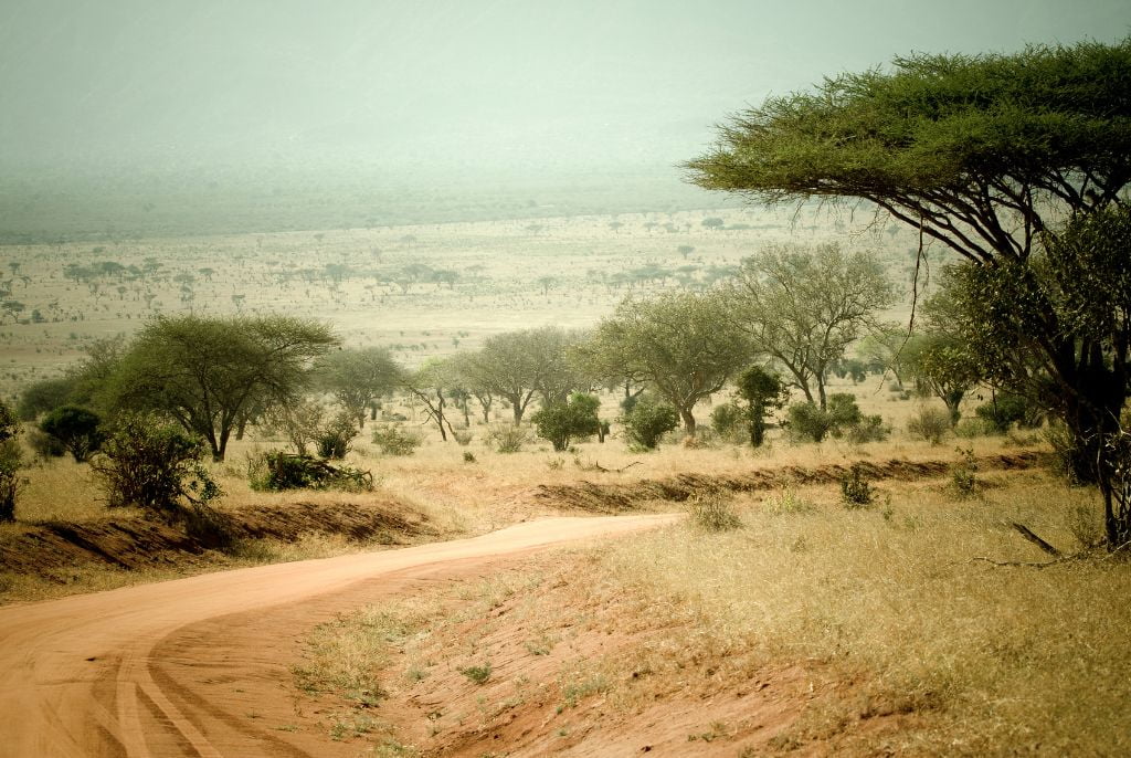 Parc Tsavo Kenya